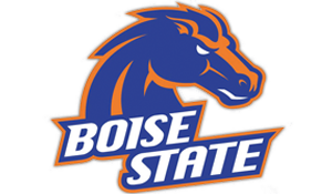 Boise State Idaho Bronco College Handbags & Purses
