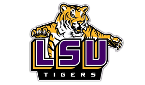 Louisiana State University Tiger Baton Rouge LA College Handbags & Purses